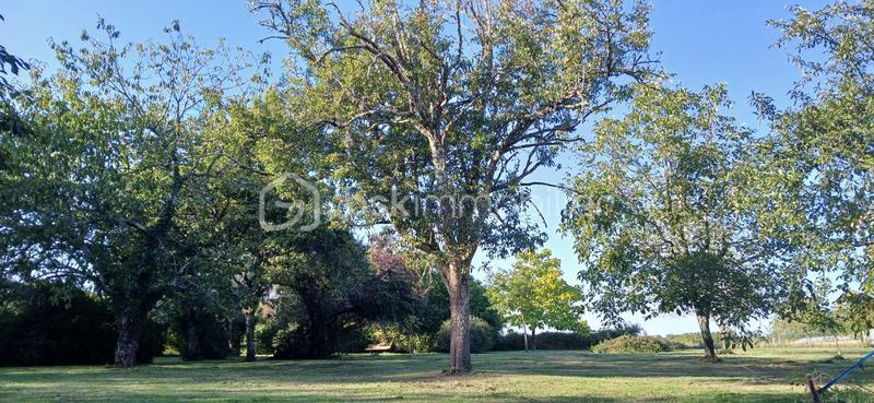 Maison ancienne - 89 m² - 3 pièces