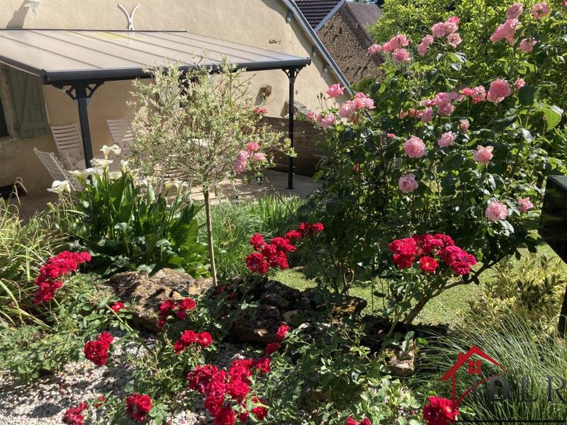 Propriété - 355 m² - 17 pièces