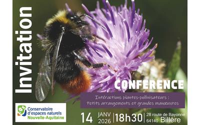 Conférence "Intéractions plantes-pollinisateurs: petits arrangements et grandes manoeuvres"