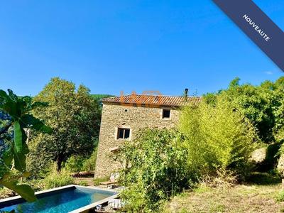 Maison en pierre - 200 m² - 8 pièces