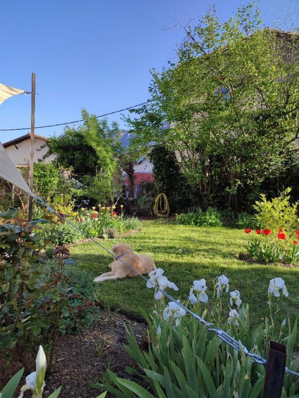 Maison chambre d'hôtes - 248 m² - 9 pièces