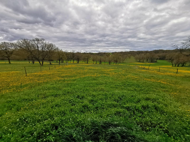 Maison - 35 m² - 2 pièces