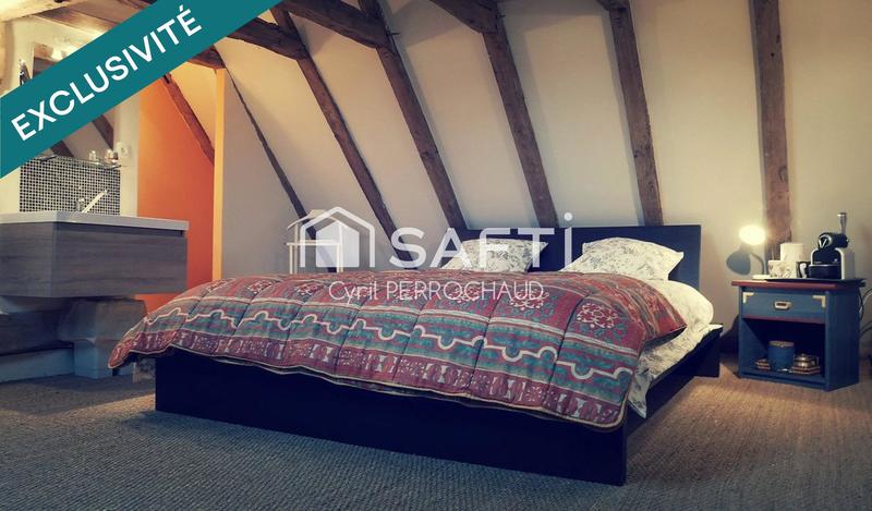 Maison de maîtres - 350 m² - 9 pièces