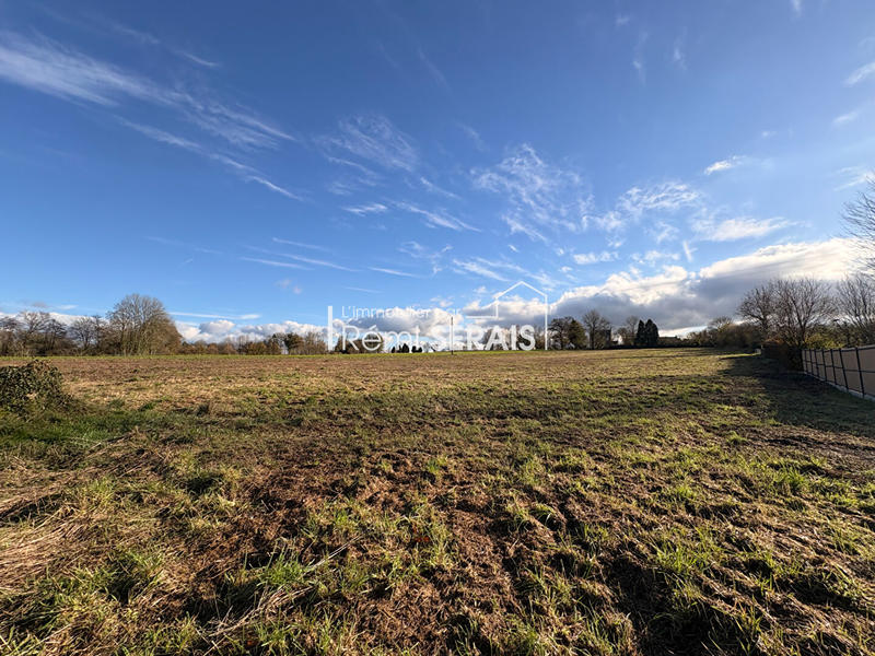 Terrain - 14 790 m²