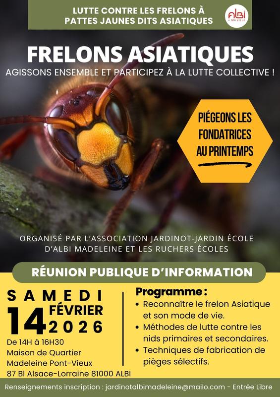 Lutte contre les frelons asiatiques -Réunion publique