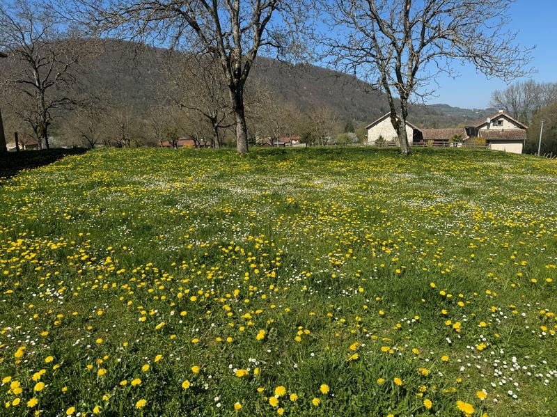 Terrain constructible - 836 m²