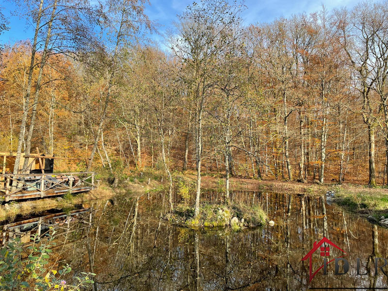 Terrain - 46 300 m²