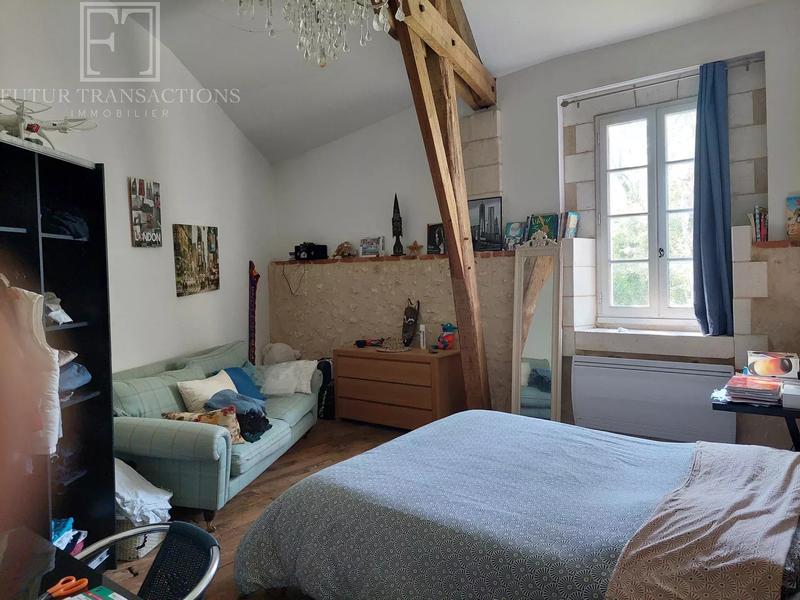 Moulin - 330 m² - 10 pièces