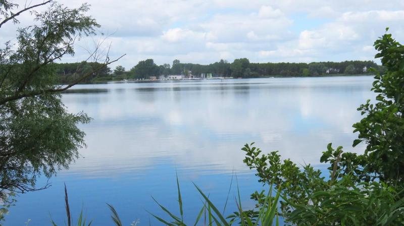 Studio - 23 m² - 1 pièce