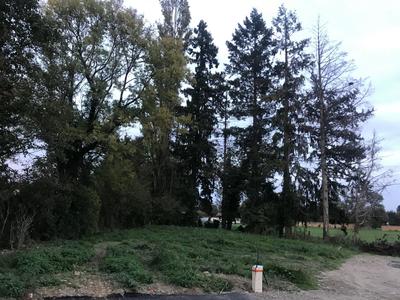 Terrain - 1 009 m²