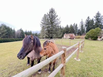 Corps de ferme - 425 m² - 12 pièces