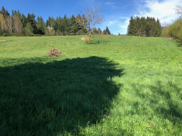 Terrain constructible - 4 941 m²