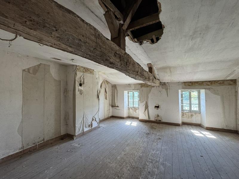 Manoir - 400 m² - 14 pièces