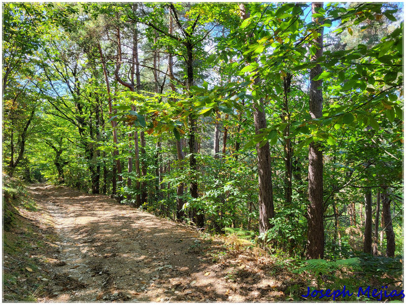 Propriété - 240 m² - 9 pièces