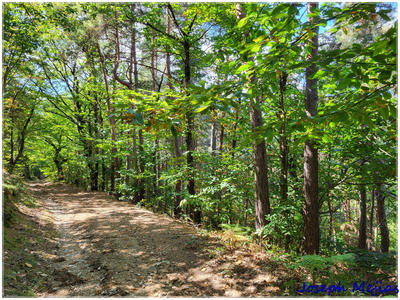 Propriété - 240 m² - 9 pièces