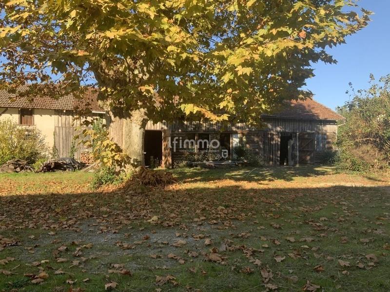 Bureau - 220 m² - 4 pièces