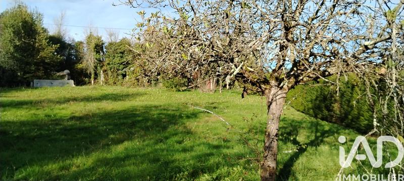 Maison de campagne - 80 m² - 5 pièces