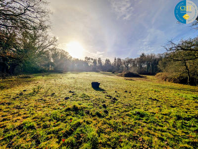 Terrain - 20 680 m²