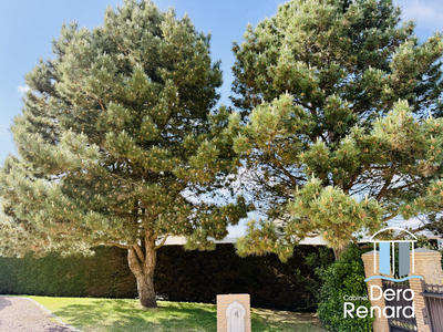 Maison ancienne - 196 m² - 8 pièces