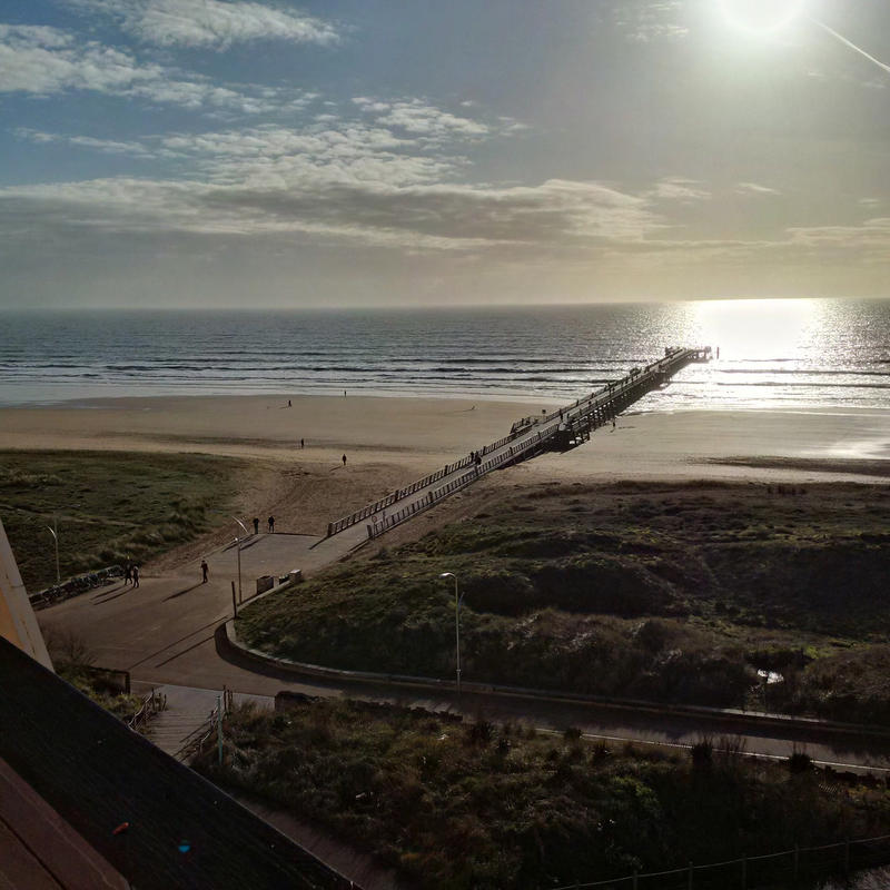 Appartement - 31 m² - 1 pièce