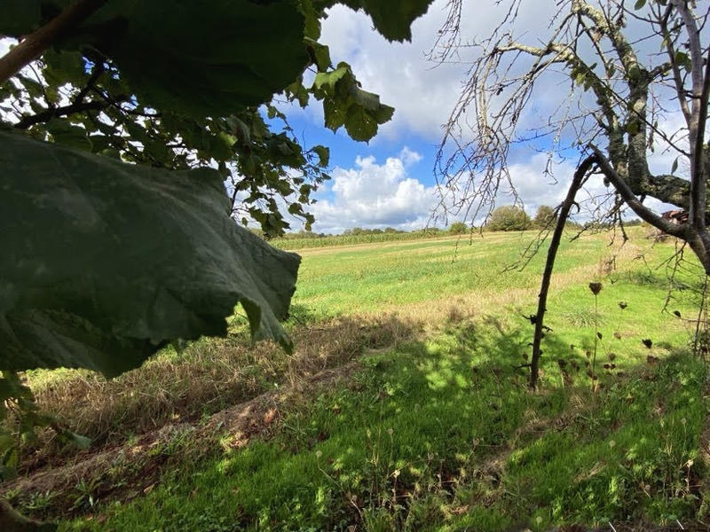 Corps de ferme - 150 m² - 8 pièces