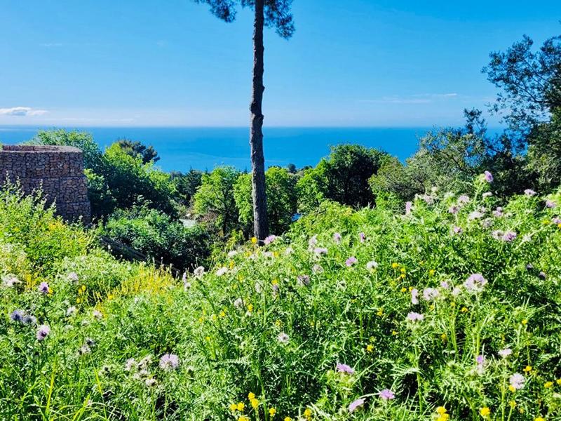 Terrain constructible - 1 500 m²