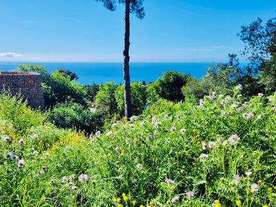 Terrain constructible - 1 500 m²