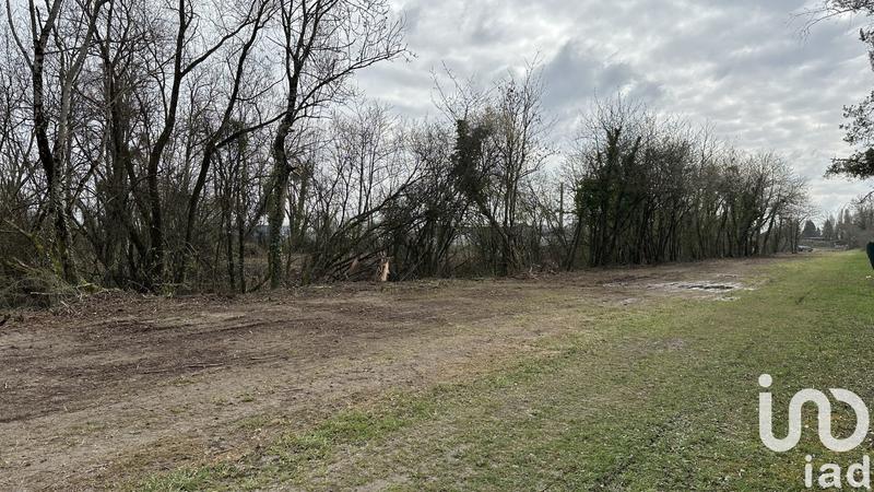 Terrain - 10 000 m²