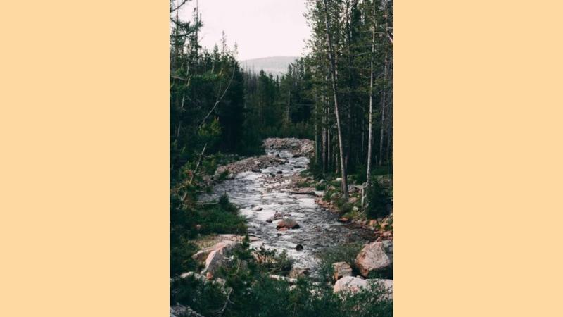 Excursion : Carnets d'aventures