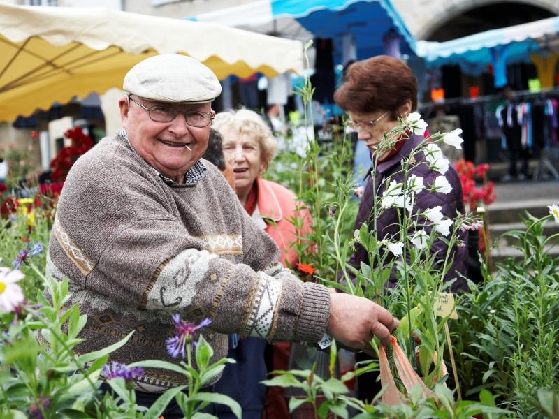 Marché aux fleurs de Bazas