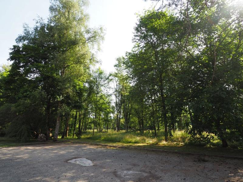 Appartement - 126 m² - 5 pièces