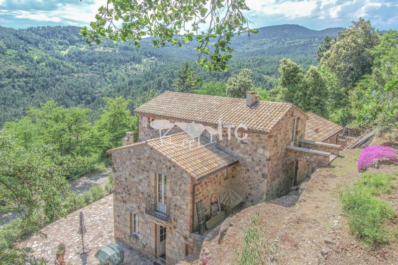 Maison en pierre - 296 m² - 7 pièces