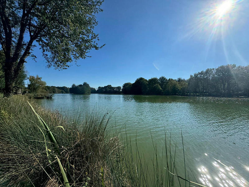 Maison - 278 m² - 10 pièces