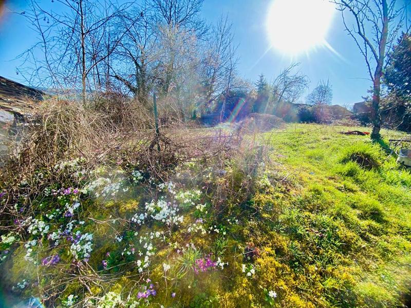 Maison - 252 m² - 10 pièces