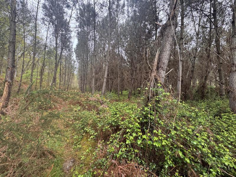 Terrain - 48 400 m²