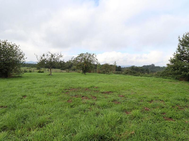 Maison - 220 m² - 6 pièces