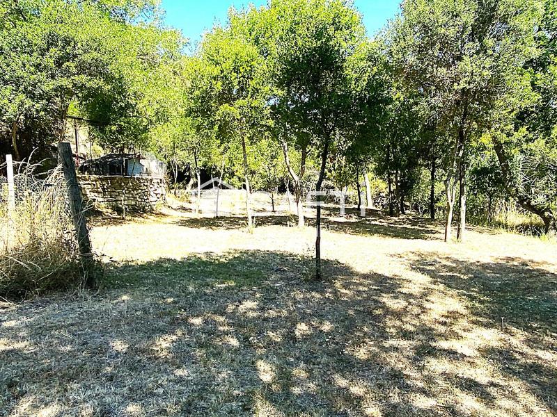 Maison - 40 m² - 3 pièces