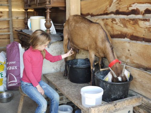 Ferme Pédagogique de la Moulerette