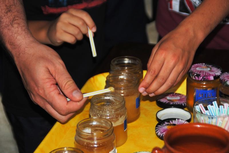 Rencontre avec un apiculteur