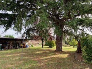 Viager - Maison - 130 m² - 5 pièces