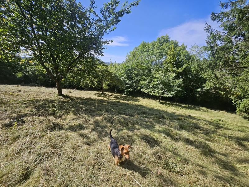 Terrain agricole - 3 547 m²