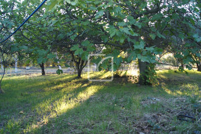 Terrain agricole - 5 359 m²