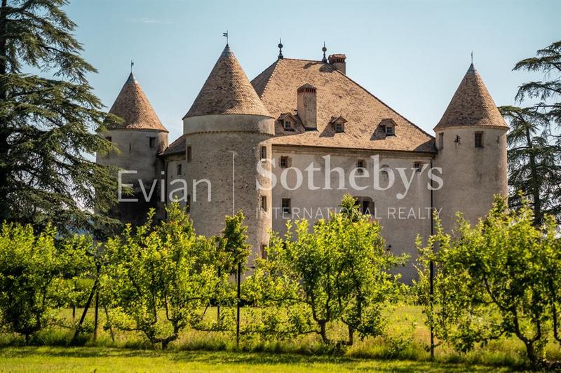 Château - 1 204 m² - 19 pièces