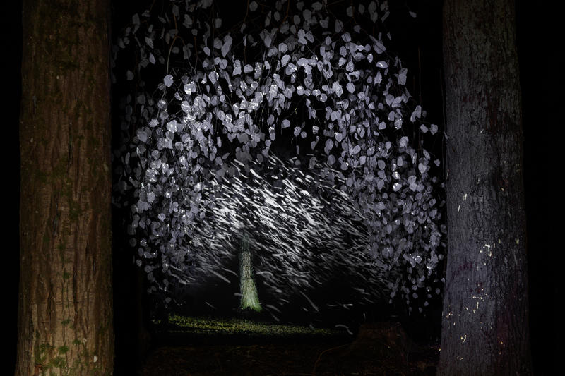 Saison d’art au Domaine Régional de Chaumont