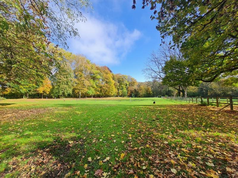 Château - 523 m² - 12 pièces