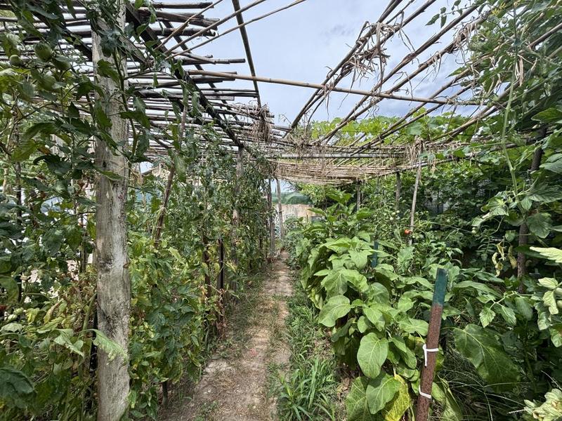 Maison - 165 m² - 5 pièces