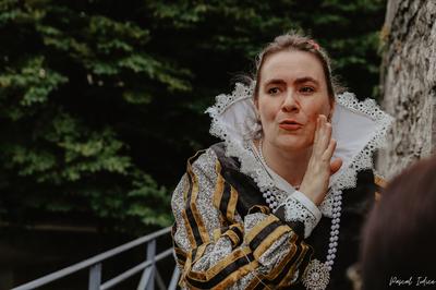 Grenoble au temps de Lesdiguières : le dernier connétable