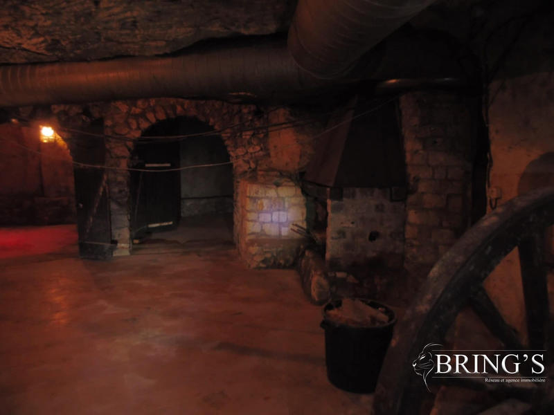 Entrepôt - 10 000 m²