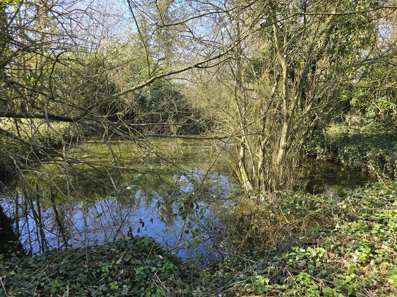 Maison de village - 152 m² - 5 pièces