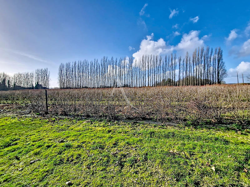 Maison - 162 m² - 6 pièces